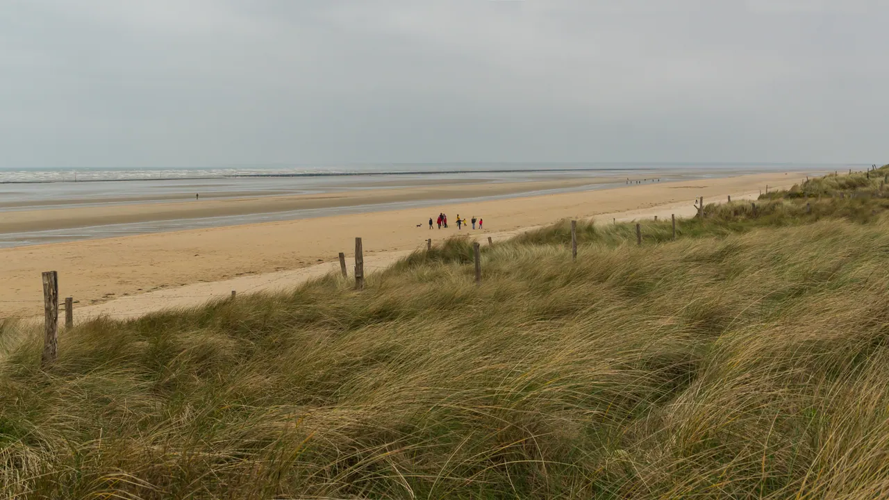 Utah Beach sand and dune grass stretching south under a grey sky
