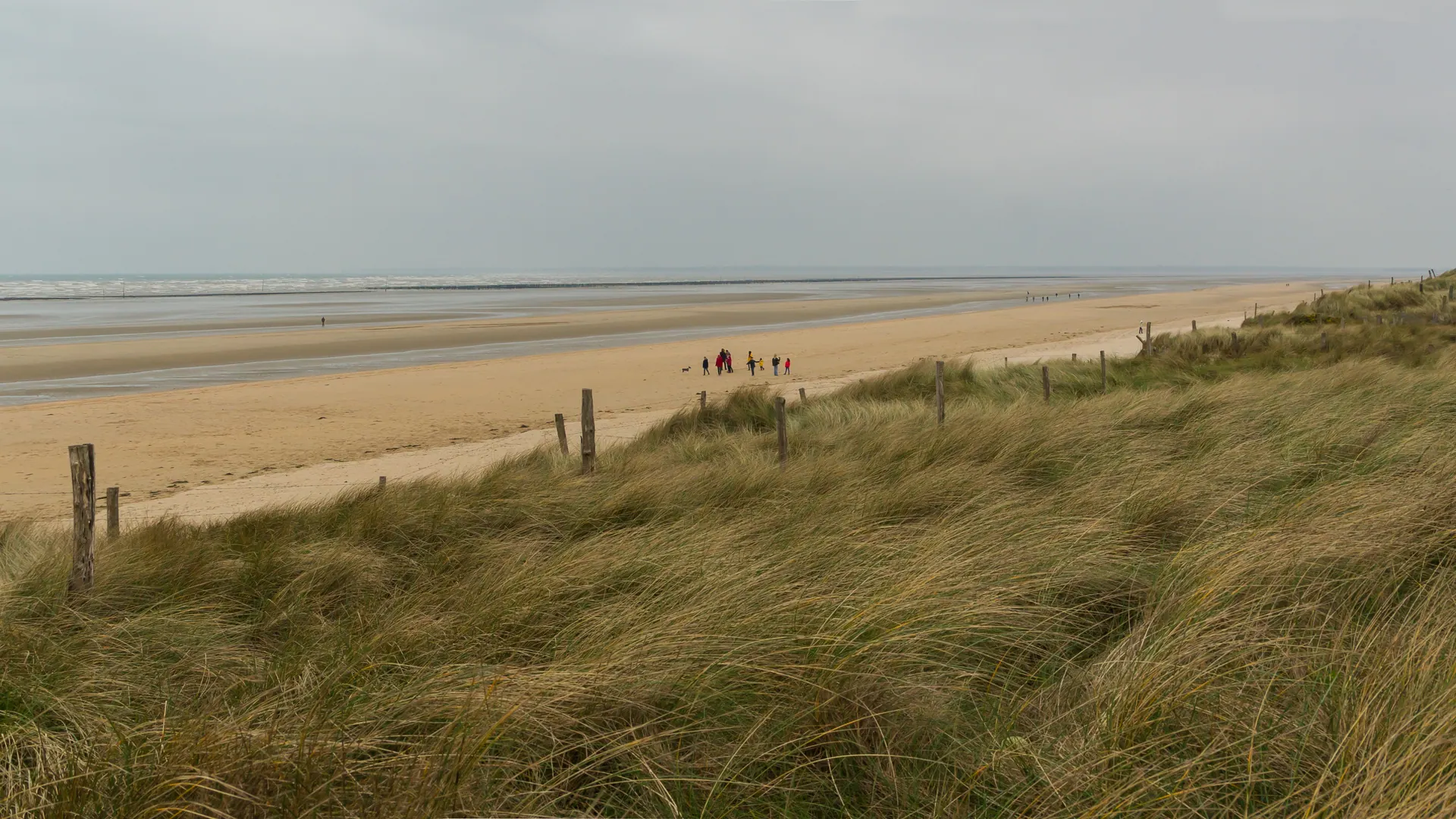 Utah Beach sand and dune grass stretching south under a grey sky